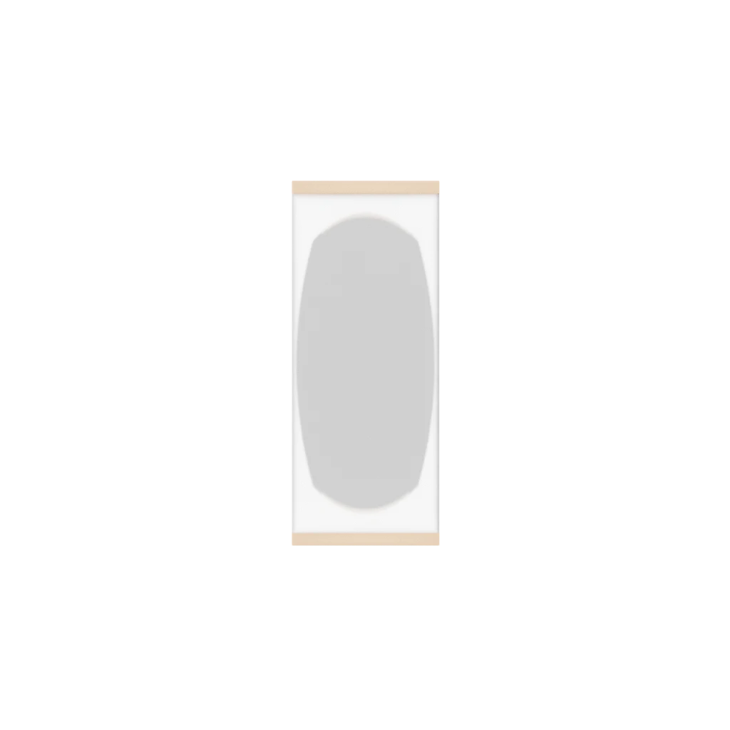 Mirror Backing (Veneers) (Single Door) - Image 10